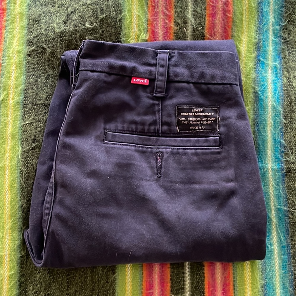 Levi’s Skateboarding Work Pant 31x30